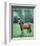 English thoroughbred horse-null-Framed Art Print