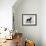 English Toy Terrier - Fall-Thomas Fall-Framed Photographic Print displayed on a wall