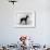 English Toy Terrier - Fall-Thomas Fall-Framed Photographic Print displayed on a wall