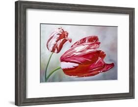 English Tulips-Lily Van Bienen-Framed Giclee Print