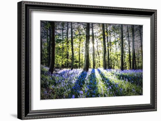 English Woodland in Spring-Mark Gemmell-Framed Photographic Print