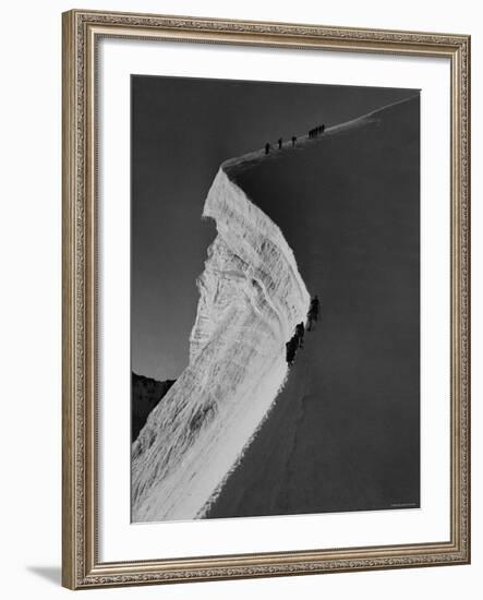 Englishmen Climbing Along Edge of Precipice on 13,000 Ft. Piz Bernina, in the Alps Switzerland-null-Framed Photographic Print