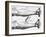 Engraving of a Circulation Experiment-William Harvey-Framed Giclee Print