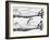 Engraving of a Circulation Experiment-William Harvey-Framed Giclee Print