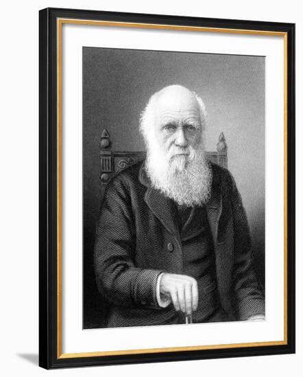 Engraving of British Naturalist Charles Darwin Developed Theory of Evolution by Natural Selection-null-Framed Premium Photographic Print