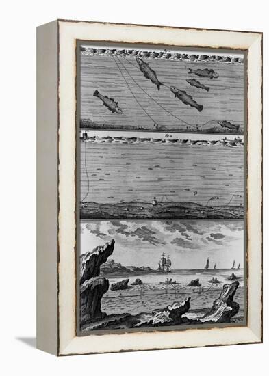 Engraving of Cod Fishing-null-Framed Premier Image Canvas