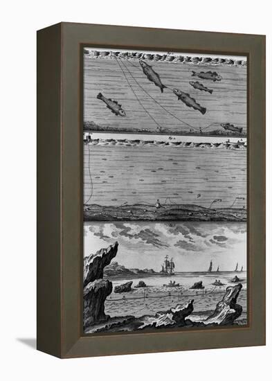 Engraving of Cod Fishing-null-Framed Premier Image Canvas