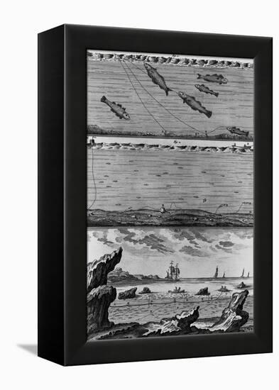 Engraving of Cod Fishing-null-Framed Premier Image Canvas