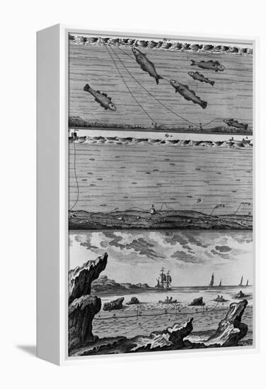 Engraving of Cod Fishing-null-Framed Premier Image Canvas