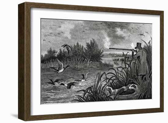 Engraving Of Duck Shooting-Bettmann-Framed Giclee Print