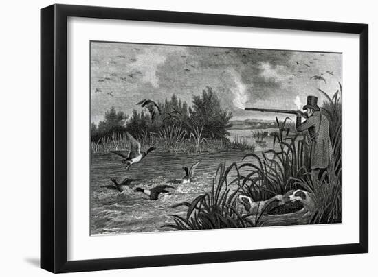 Engraving Of Duck Shooting-Bettmann-Framed Giclee Print