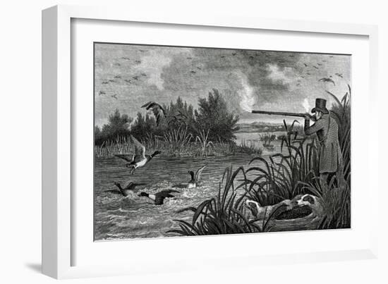 Engraving Of Duck Shooting-Bettmann-Framed Giclee Print