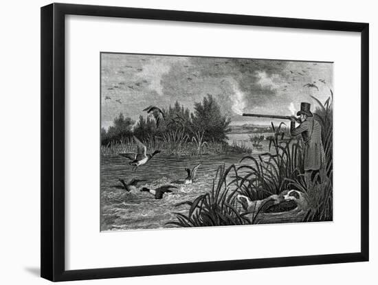 Engraving Of Duck Shooting-Bettmann-Framed Giclee Print