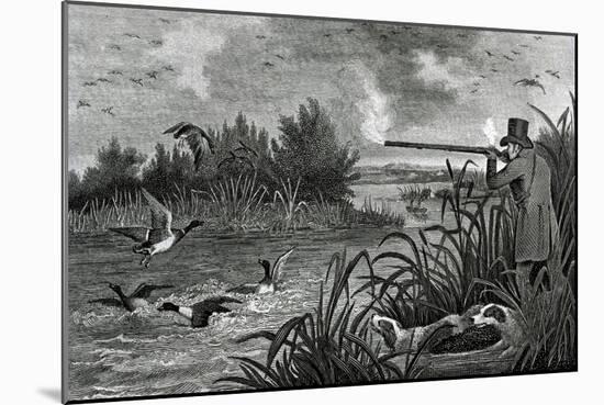 Engraving Of Duck Shooting-Bettmann-Mounted Giclee Print