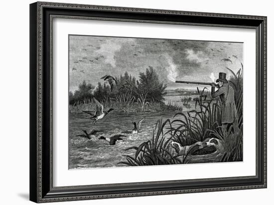 Engraving Of Duck Shooting-Bettmann-Framed Giclee Print