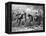 Engraving of Frog and Insect Musicians-null-Framed Premier Image Canvas