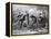 Engraving of Frog and Insect Musicians-null-Framed Premier Image Canvas