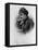 Engraving of Myra Bradwell-null-Framed Premier Image Canvas