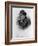 Engraving of Myra Bradwell-null-Framed Giclee Print