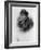 Engraving of Myra Bradwell-null-Framed Giclee Print