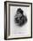 Engraving of Myra Bradwell-null-Framed Giclee Print