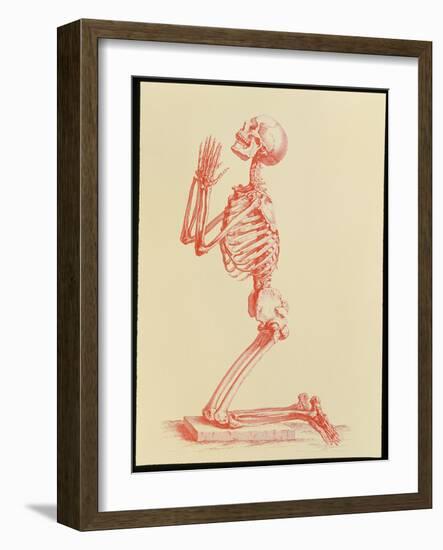 Engraving of Praying Male Skeleton by Cheselden-Mehau Kulyk-Framed Photographic Print