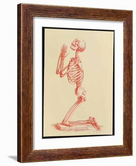 Engraving of Praying Male Skeleton by Cheselden-Mehau Kulyk-Framed Photographic Print