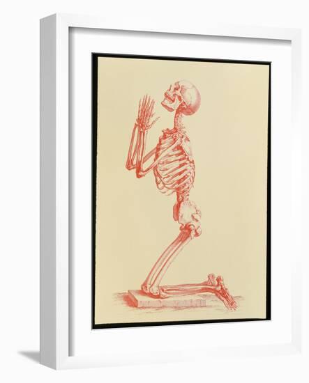 Engraving of Praying Male Skeleton by Cheselden-Mehau Kulyk-Framed Photographic Print