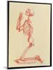 Engraving of Praying Male Skeleton by Cheselden-Mehau Kulyk-Mounted Photographic Print