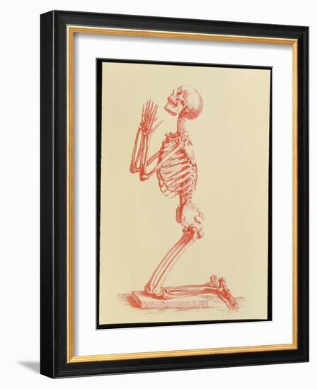 Engraving of Praying Male Skeleton by Cheselden-Mehau Kulyk-Framed Photographic Print