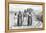 Engraving of Yaqui Indians-null-Framed Premier Image Canvas
