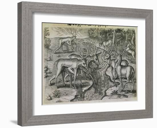 Engraving-Theodor de Bry-Framed Giclee Print