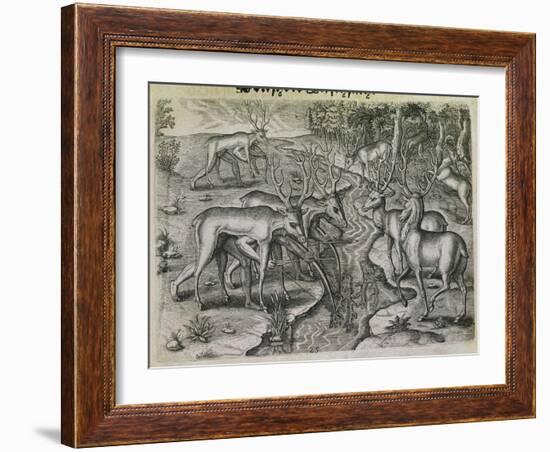 Engraving-Theodor de Bry-Framed Giclee Print