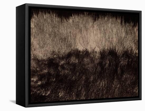 Enigma-Petr Strnad-Framed Premier Image Canvas