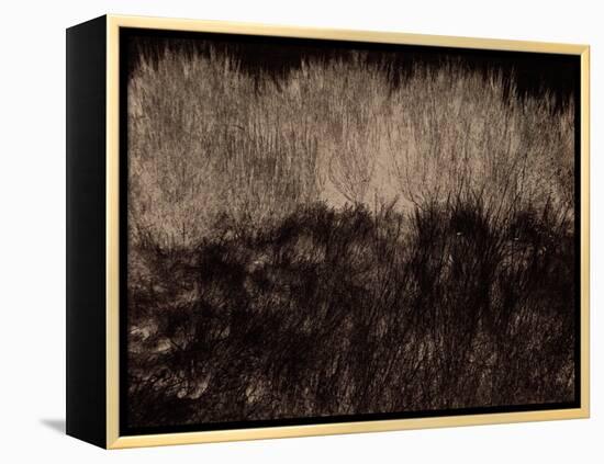 Enigma-Petr Strnad-Framed Premier Image Canvas
