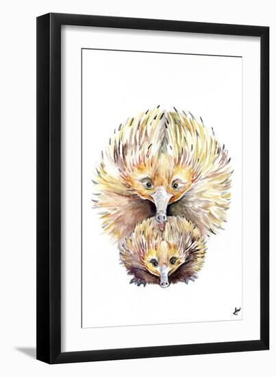 Enigmatic Echidnas-Marc Allante-Framed Giclee Print