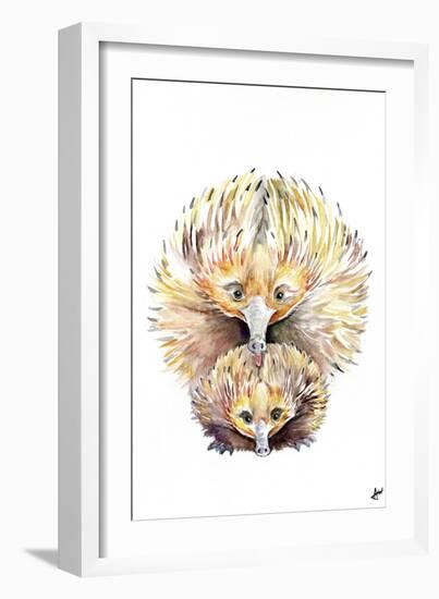 Enigmatic Echidnas-Marc Allante-Framed Giclee Print