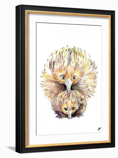 Enigmatic Echidnas-Marc Allante-Framed Giclee Print