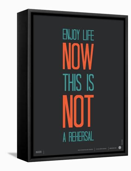 Enjoy Life Now Poster-null-Framed Stretched Canvas