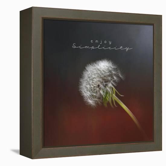 Enjoy Simplicity-Jai Johnson-Framed Premier Image Canvas