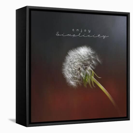 Enjoy Simplicity-Jai Johnson-Framed Premier Image Canvas