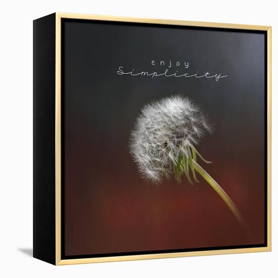 Enjoy Simplicity-Jai Johnson-Framed Premier Image Canvas