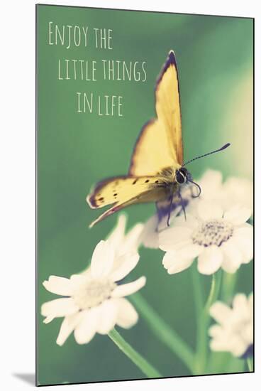 Enjoy the Little Things-Andreas Stridsberg-Mounted Giclee Print