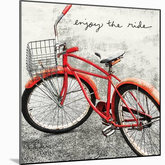 Enjoy the Ride-Amy Melious-Mounted Art Print