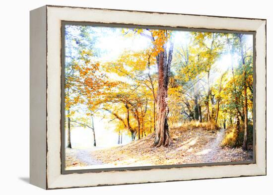 Enjoy-Viviane Fedieu Daniel-Framed Premier Image Canvas