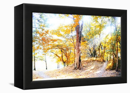 Enjoy-Viviane Fedieu Daniel-Framed Premier Image Canvas