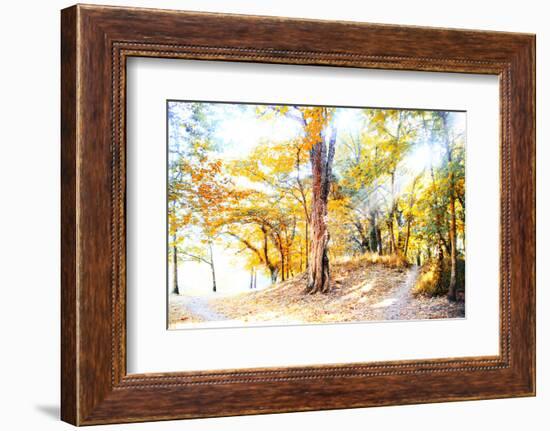 Enjoy-Viviane Fedieu Daniel-Framed Photographic Print