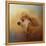 Enjoying the Breeze Apricot Poodle-Jai Johnson-Framed Premier Image Canvas