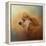 Enjoying the Breeze Apricot Poodle-Jai Johnson-Framed Premier Image Canvas