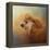 Enjoying the Breeze Apricot Poodle-Jai Johnson-Framed Premier Image Canvas